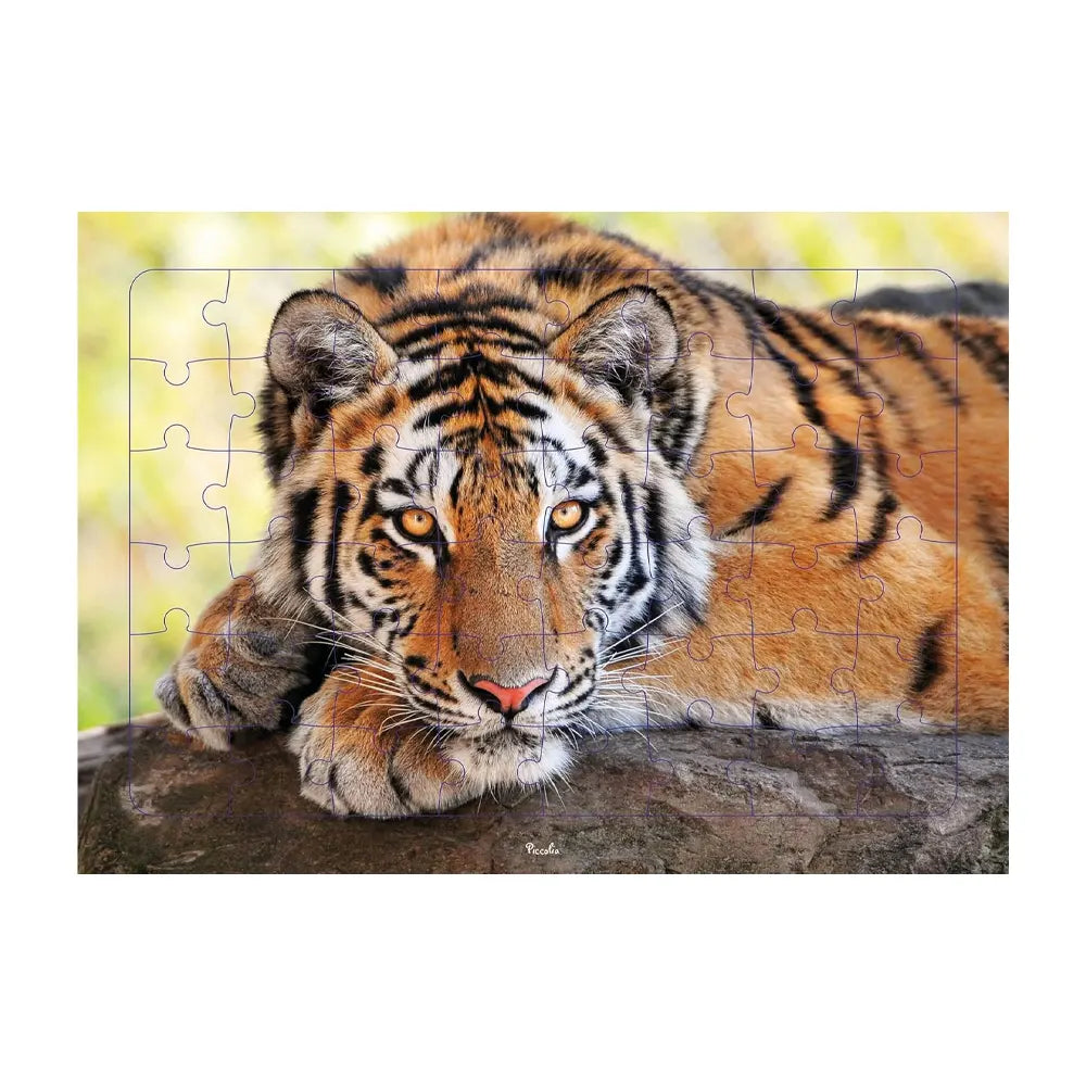 Le tigre au regard doré : puzzle photo 48 pièces