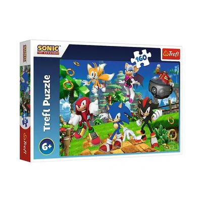 Sonic et ses compagnons sur la piste — puzzle 160 pièces
