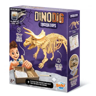 Kit Fouille Archéologique Tricératops avec Fossile Authentique