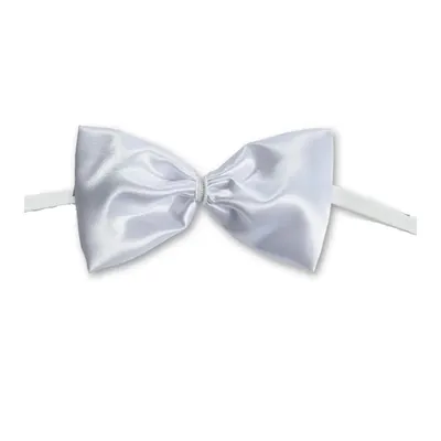 Nœud papillon blanc satiné pour tenue de fête
