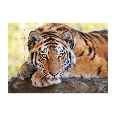 Le tigre au regard doré : puzzle photo 48 pièces