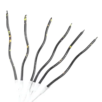 Six bougies ondulées noires pour gâteau
